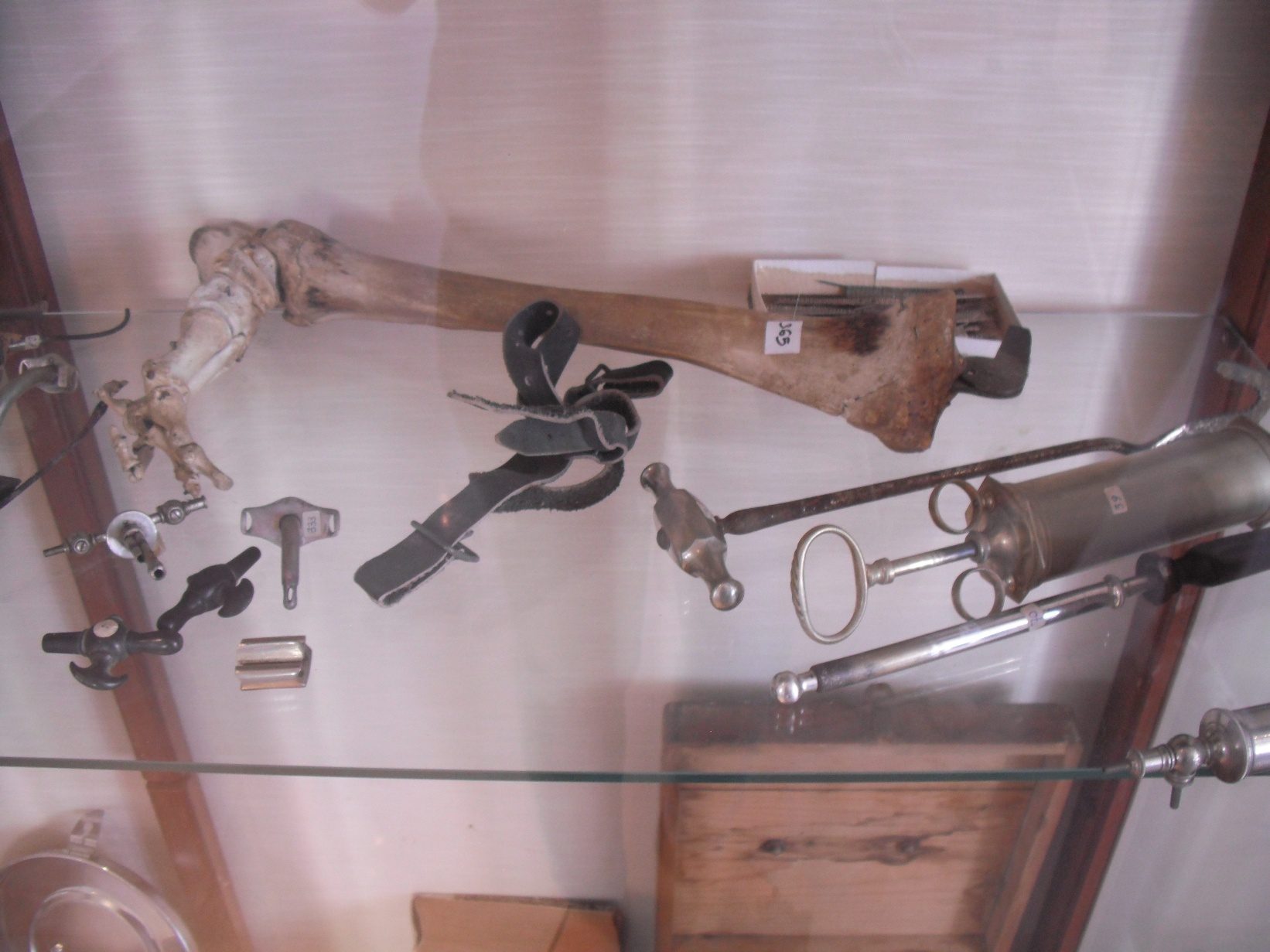 Francesco Durante S Collection